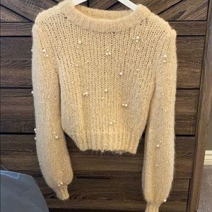 100% Cashmere Le Fou Aritzia sweater